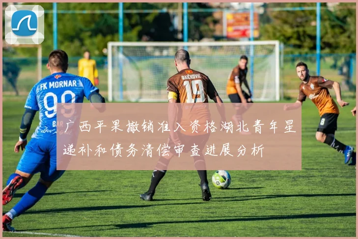 广西平果撤销准入资格湖北青年星递补和债务清偿审查进展分析