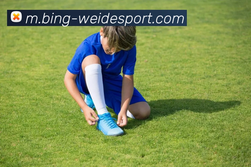 伟德体育平台生态图