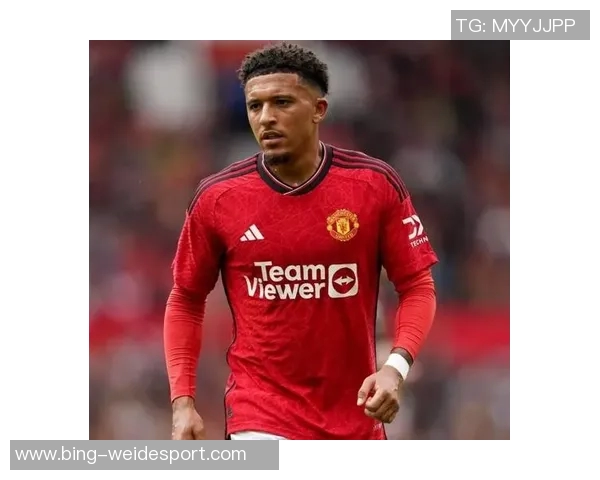 赫斯基建议桑乔考虑重返多特或前往意大利发展新生涯